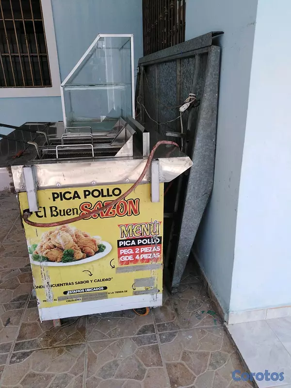 equipos profesionales - Carrito de frituras, empanadas o pollo.  3