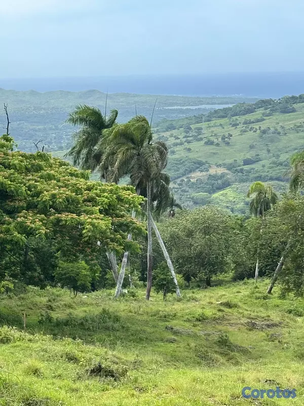 solares y terrenos - 🌿 Tropical Breeze Cupey – Proyecto Ecológico  1