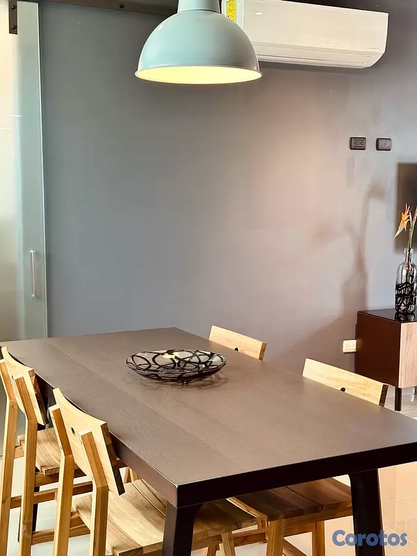 apartamentos - En venta Penthouse amueblado en Santiago De Los Caballeros 12