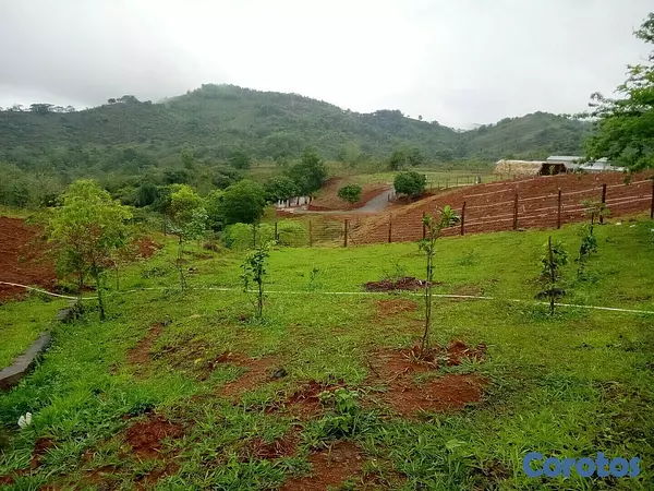 solares y terrenos - Vendo Hermoso Terreno/Finca en Villa Altagracia, Proyecto Hacienda Maria.  1