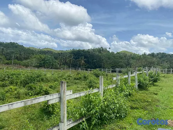 solares y terrenos - Terreno en venta con potencial para proyectos 4