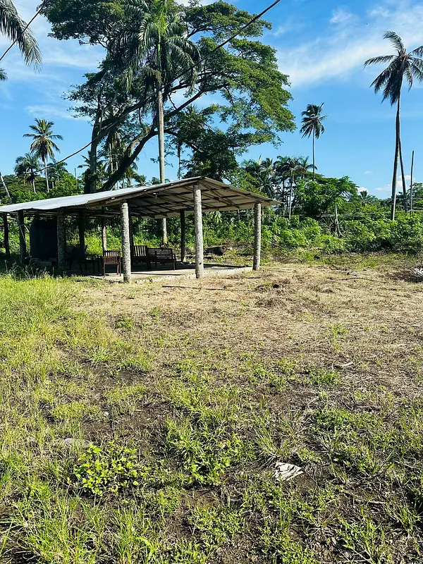 solares y terrenos - Solar 70 tareas en Moca 3
