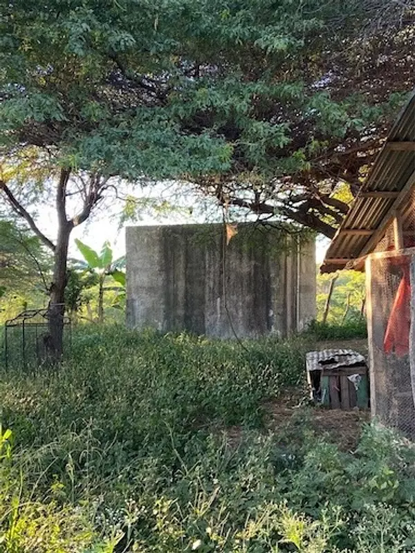 solares y terrenos - Finca de venta en Mamey 9