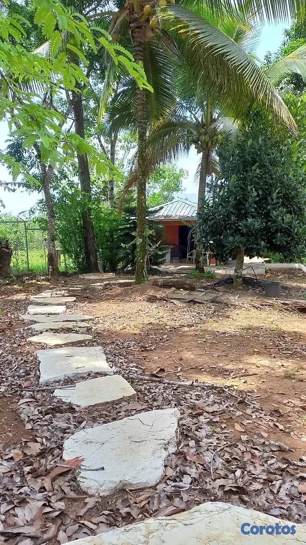 solares y terrenos - Solar en venta en los mogotes de Villa Altagracia República Dominicana de 5000m2 8