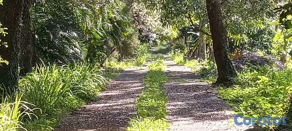 casas - Venta Finca Km25 Autopista Duarte 3