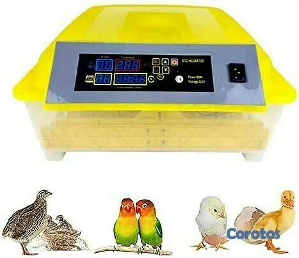 equipos profesionales - Incubadoras de 48 huevos digital automatico para Pollo Aves de corra 10