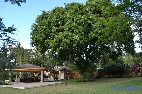 casas - Se Vende Propiedad Excelente para Proyectos  1