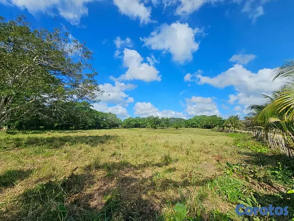 solares y terrenos - Gran Finca Ganadera en San Francisco de Macoris de 5