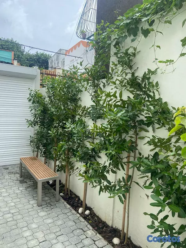 apartamentos - Apartamento en Bella Vista Gaspar Polanco  9