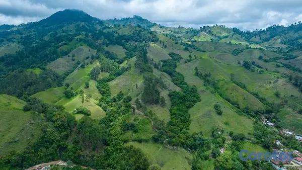 solares y terrenos - OPORTUNIDAD PARA DESARROLLO 39 TAREAS DE TIERRA EN 8