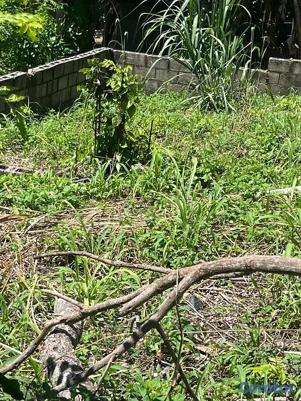 solares y terrenos - solar en venta en villa mella  2