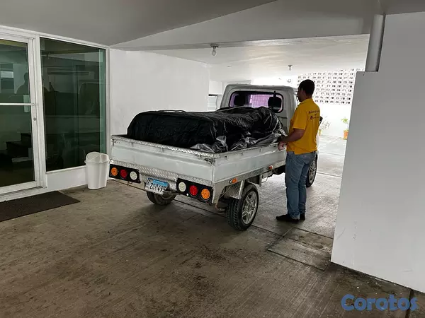 servicios profesionales - mudanza y acarreo Santo Domingo  2