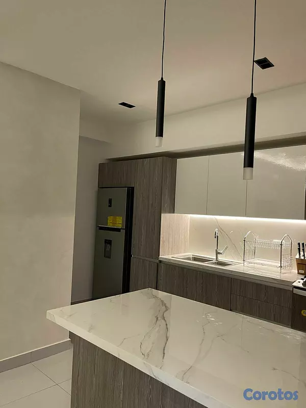 apartamentos - Apartamento amueblado en alquiler en naco 10