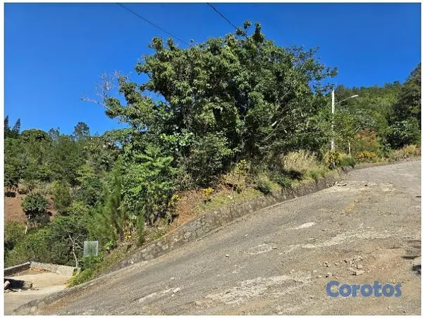 solares y terrenos - Terreno en Venta en Jarabacoa 3