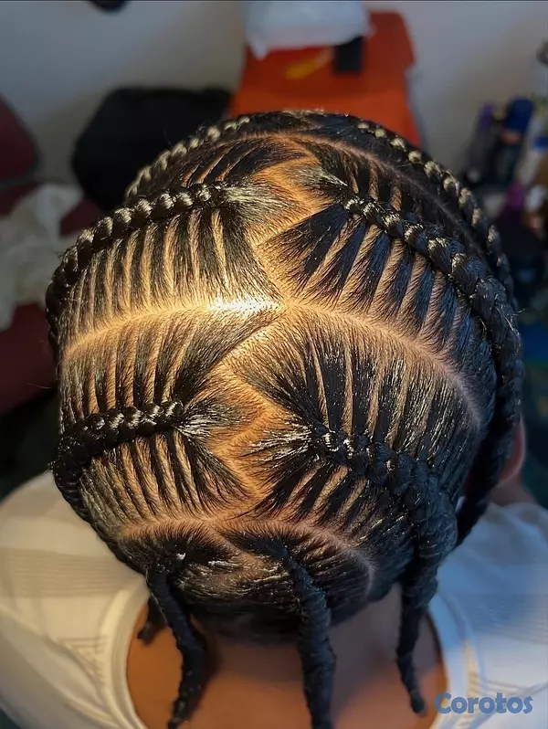 servicios profesionales - trenzas africana  5