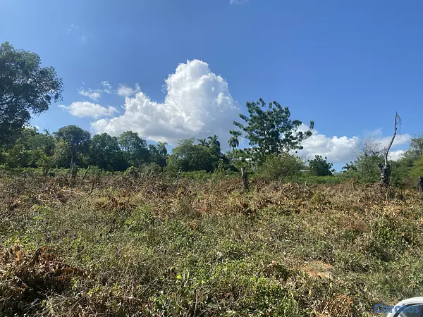 solares y terrenos - terreno de 20 mil mts en sosua  2