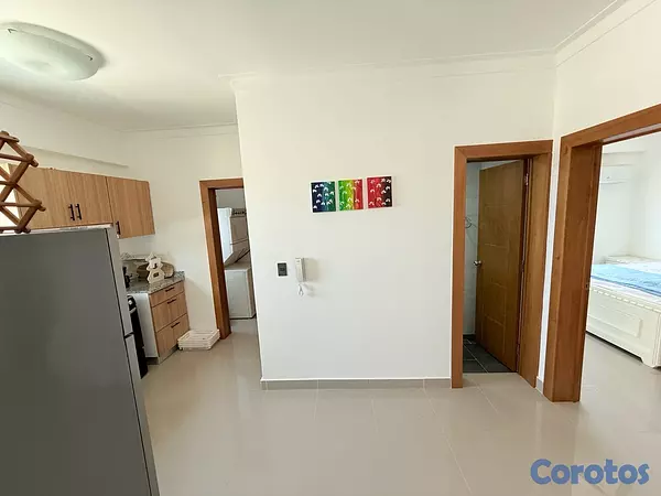 apartamentos - Alquilo Apartamento Amueblado en Santo Domingo Distrito Nacional  4