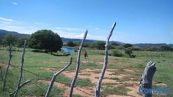 solares y terrenos - Finca Con Titulo 226 Tareas de Tierra.  4