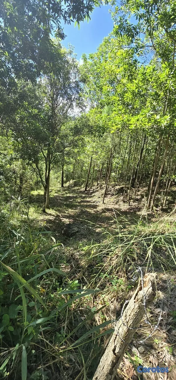 solares y terrenos - Terreno en venta (Jarabacoa)312mt2, Zona Turística 4
