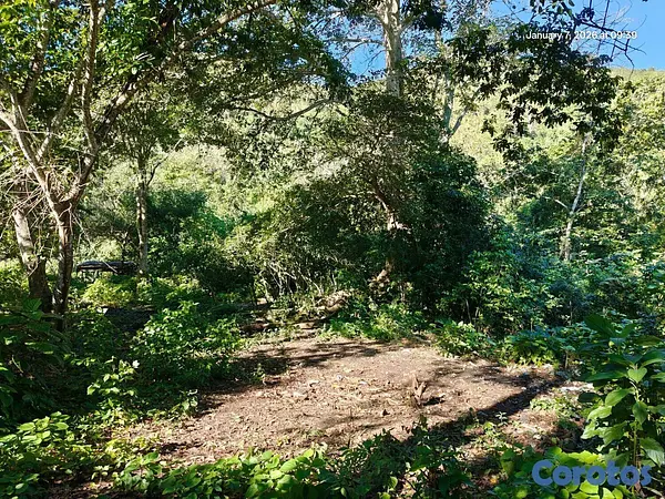 solares y terrenos - Oportunidad: Finca Con Boca De Río. Buena Para Cos 4