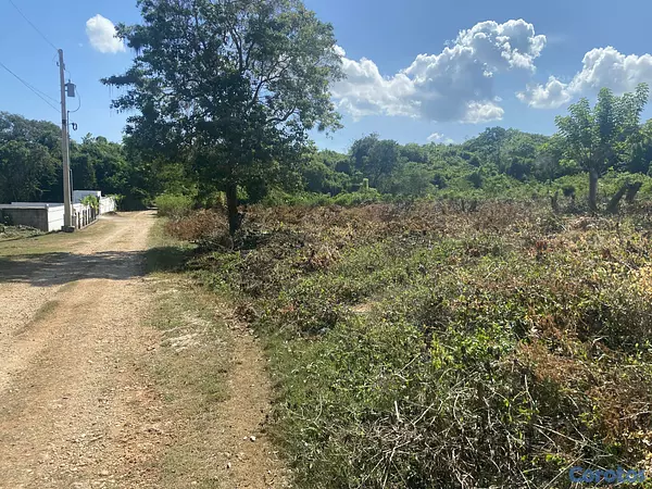 solares y terrenos - terreno de 20 mil mts en sosua  3