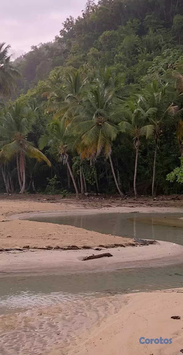 solares y terrenos - Terreno Frente Al Mar Para Cualquier Proyecto Inmo 4