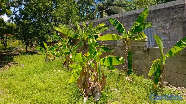solares y terrenos - 🏞️ Solar en Venta – Valiente, Km 21 Las Américas  6