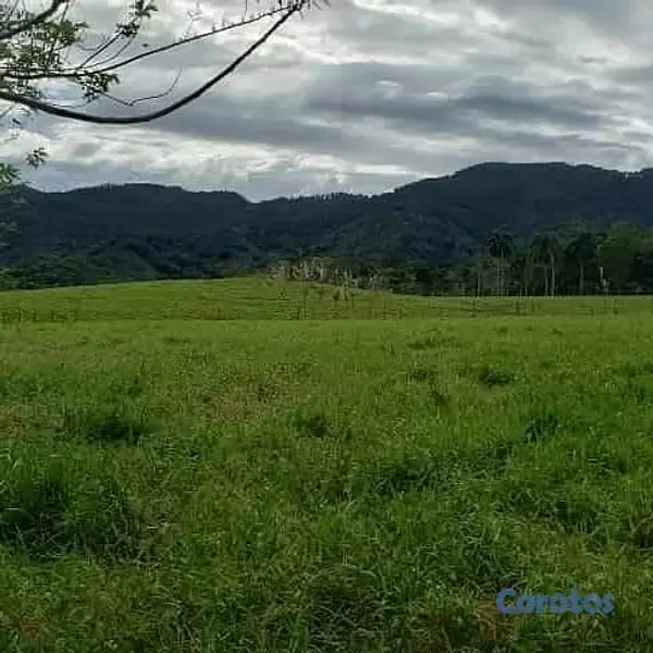 solares y terrenos - finca ganadera  en la Vega  6
