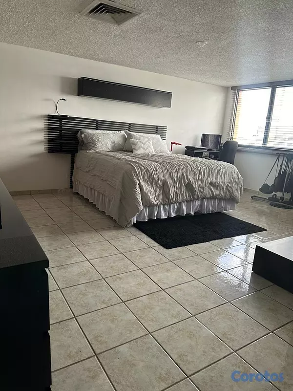 apartamentos - Apartamento en Alquiler Completamente Amueblado Se 5