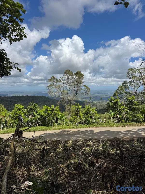 solares y terrenos - Solares en la montaña con vista a puerto plata  4