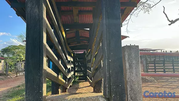 solares y terrenos - Finca 11,000 Tareas en Sábana de la Mar próximo a  1