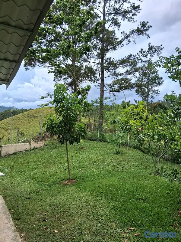 casas - casa con 4 tareas de terrenos,deslindada 9