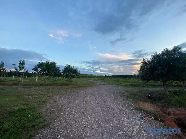 solares y terrenos - En Venta Finca Agricola y Ganadera en Carretera Bayaguana Guerra 2