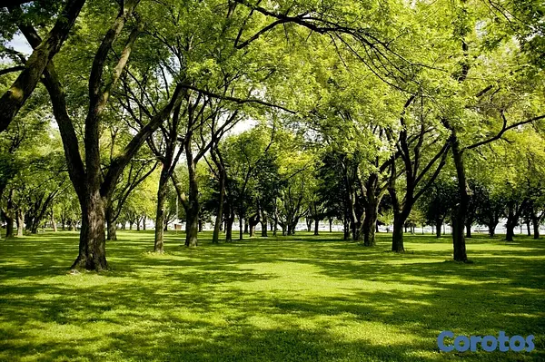 apartamentos - VENDEMOS EXCLUSIVO PROYECTO RESIDENCIAL EN BAVARO PUNTA CANA 8