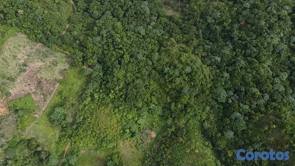 solares y terrenos - Venta de solar en Samana 5