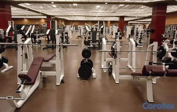 equipos profesionales - ventas de equipos de gym completo 6