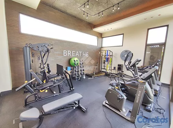 apartamentos - TORRE FABULOSA ROOFTOP CON GYM Y PICUZZY LOS CERRO 4