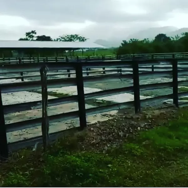 solares y terrenos - Finca ganadera en la Vega  2