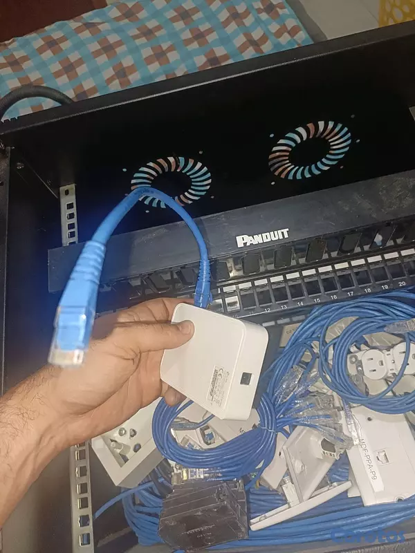 accesorios para electronica - caja de telecomunicaciones panduit, tplink  y todo lo que ves en la foto 4