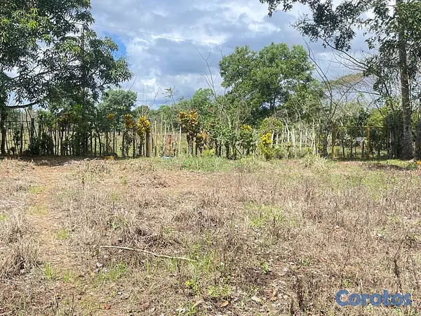 solares y terrenos - Oportunidad: Terreno 3,323 m² con Título en Don Juan, Monte Plata 5