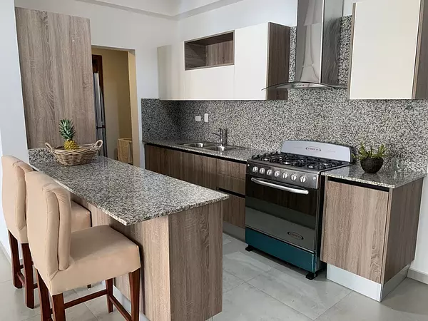 apartamentos - Se alquila apartamento amueblado en La Esperilla 4