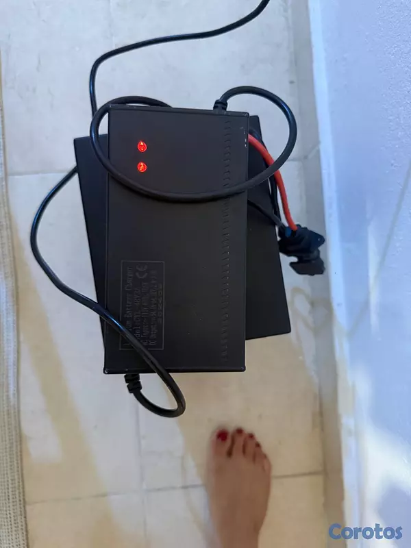motores y pasolas - Scooter eléctrica  4