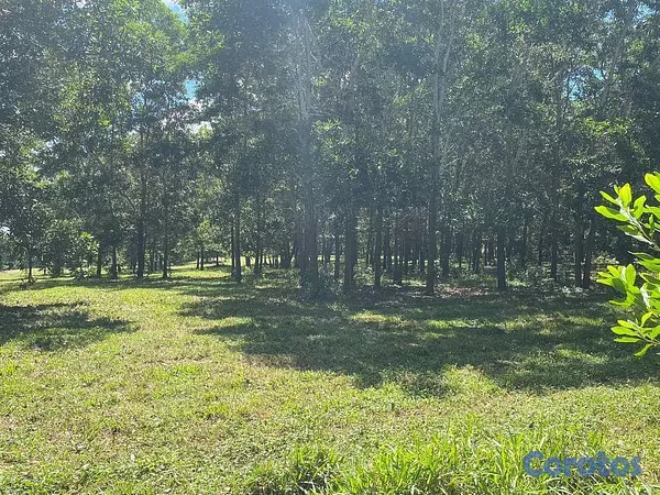 solares y terrenos - En Venta Finca Agricola y Ganadera en Carretera Bayaguana Guerra 5