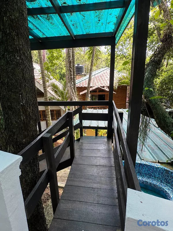 casas vacacionales y villas - Villa en alquiler en Residencial Ercilia Pepín, Jarabacoa 12