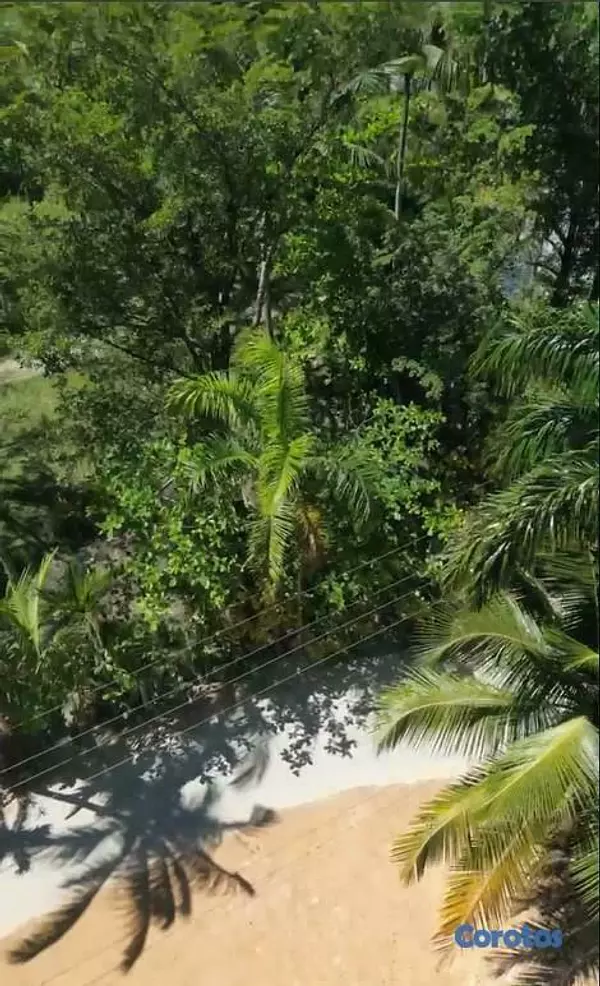 solares y terrenos - Exclusive Lots with Beach Access in Las Terrenas, Samaná 9
