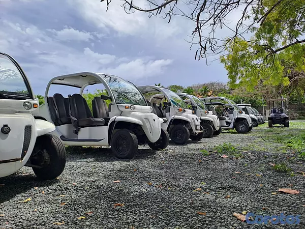 vehiculos recreativos - CON GARANTIA FULL 1AÑO,CARROS DE GOLF POLARIS , RE 9