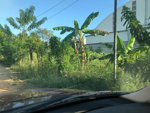 solares y terrenos - Terreno en venta en el sector Urbanización Los Jardines,  Boca chica, Santo Domi 4