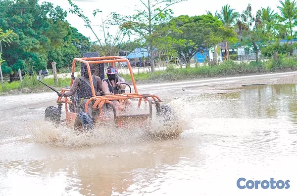 tours y viajes - Excursión en Buggys en Punta Cana  2