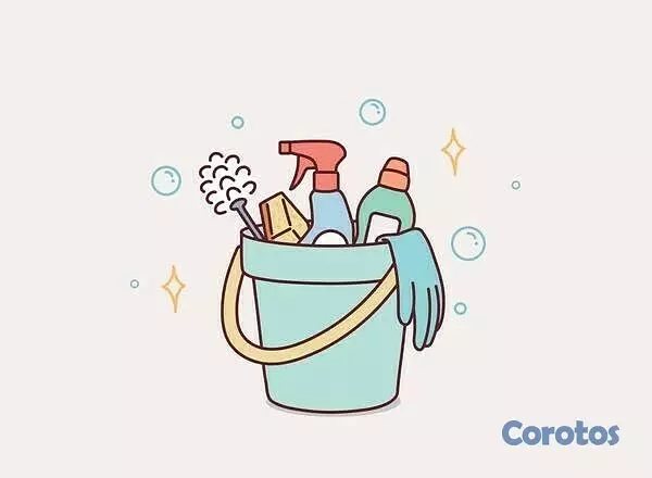 servicios profesionales - Se limpian casas 🧹 2