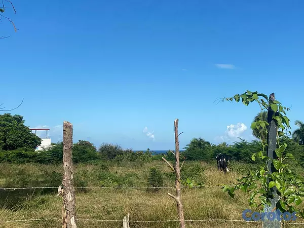 solares y terrenos - HERMOSO TERRENO EN PRIMERA LINEA DE LA VIA PRINCIP 1